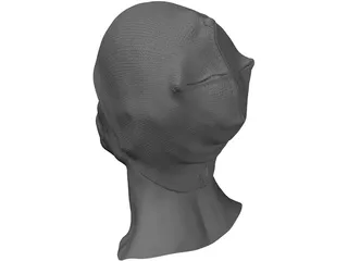 Head for Printing Decimated 3D Model