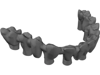 Reduced Mandibula Arcade 3D Model