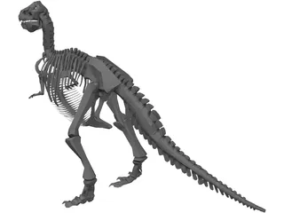 T-Rex Skeleton 3D Model