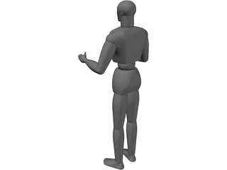 Human 3D Model