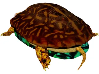 Turtle 3D Model