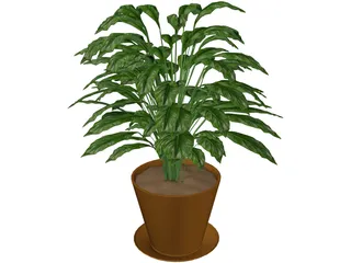 Spathiphyllum 3D Model