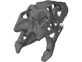 Dinosaur Skull 3D Model