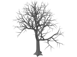 Tree 3D Model