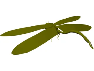 Dragon Fly 3D Model