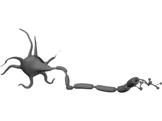 Neuron 3D Model