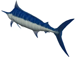 Marlin Blue 3D Model