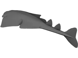 Angel Shark 3D Model