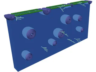 Cell Membrane 3D Model