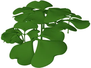 Clover Patch 3D Model