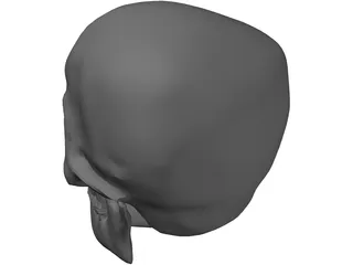 Skull Complete with Jaw Bone and Teeth 3D Model