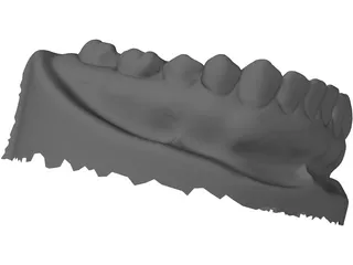 Teeth 3D Scanned 3D Model