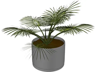 House Plant 3D Model