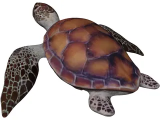 Turtle 3D Model