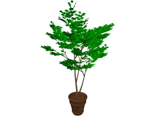 Potted Tree 3D Model