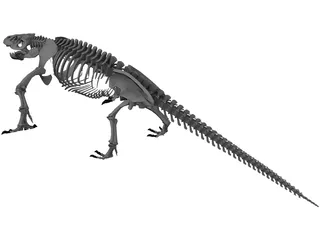 Komodo Dragon Skeleton 3D Model