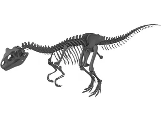 Allosaurus Skeleton 3D Model