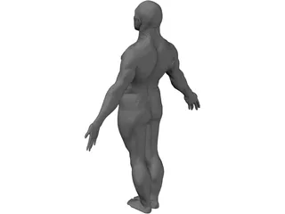 Male Body 3D Model