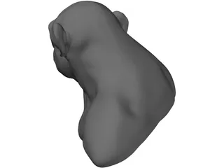 Chimp Head 3D Model