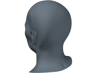 Human Face 3D Model