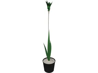 Potted Plant 3D Model