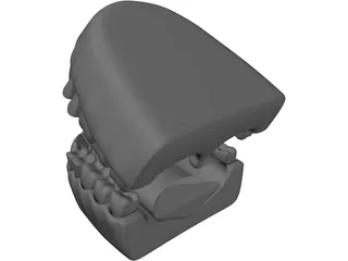 Teeth 3D Model