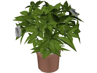 Potted Plant 3D Model