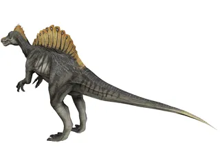 Spinosaurus 3D Model