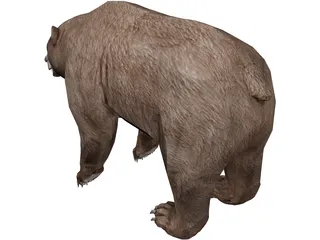 Brown Bear 3D Model