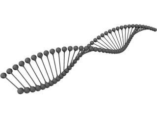 DNA 3D Model