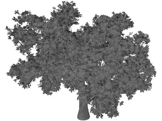 Quercus Tree 3D Model