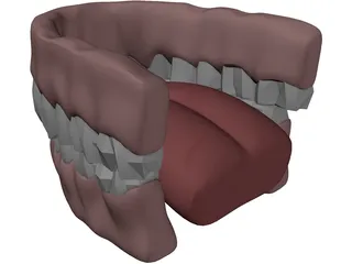 Gums Teeth Tongue 3D Model