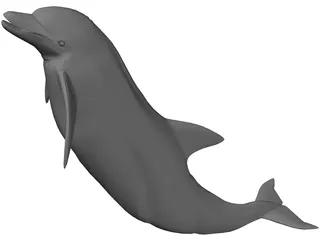 Dolphin 3D Model