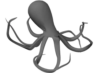 Octopus 3D Model