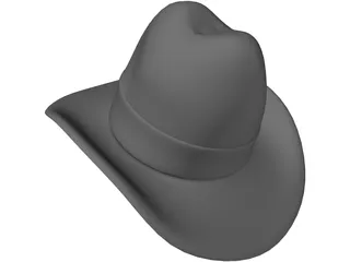 Cowboy Hat 3D Model