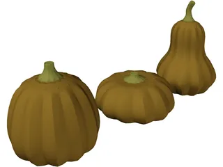 Squash 3D Model