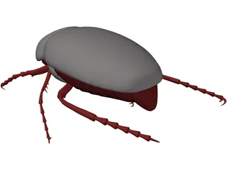 Bug (Meikever In Dutch) 3D Model