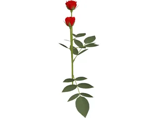 Red Rose 3D Model