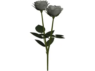 White Rose 3D Model