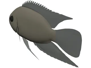 Cichlid 3D Model