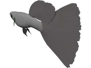 Guppy 3D Model