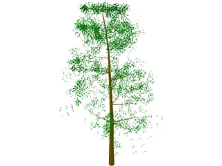 Tree Big 3D Model