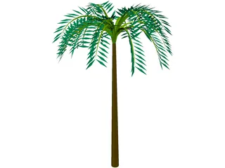 Tree Palm Tropical 3D Model