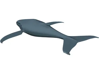 Whale Funny 3D Model