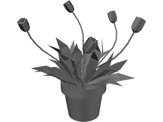 Dandelion 3D Model