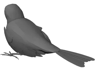 Black Bird 3D Model