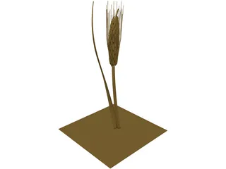 Dried Barley 3D Model