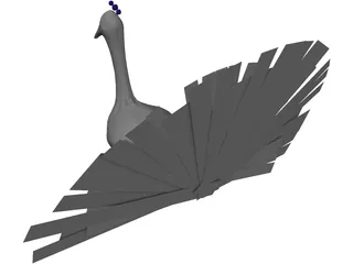 Peacock 3D Model