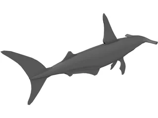 Shark 3D Model