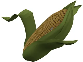 Corn 3D Model